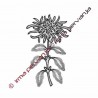 502501 - Chrysantheme - 25 cm