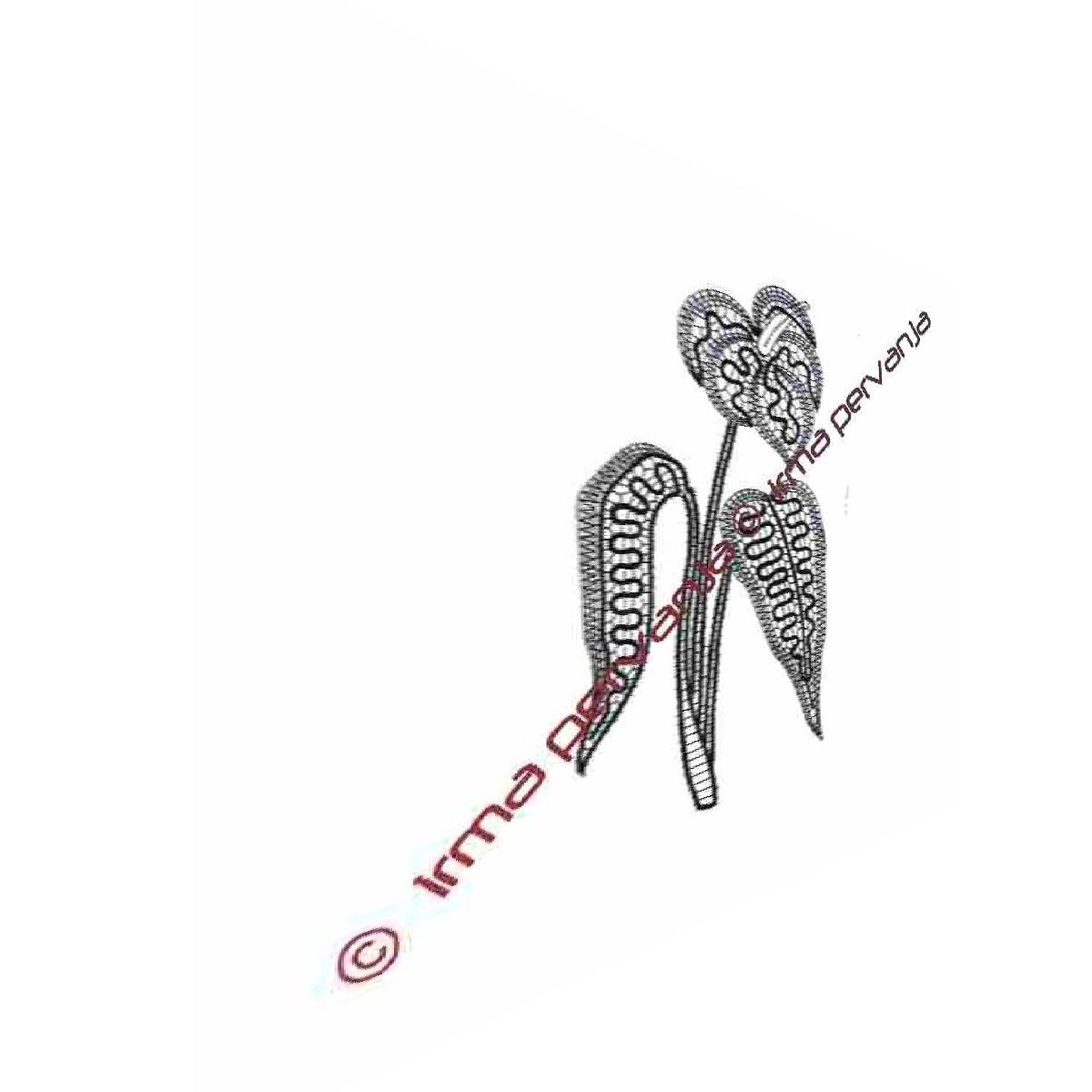 503401 - Uccello fiammingo - 30 cm