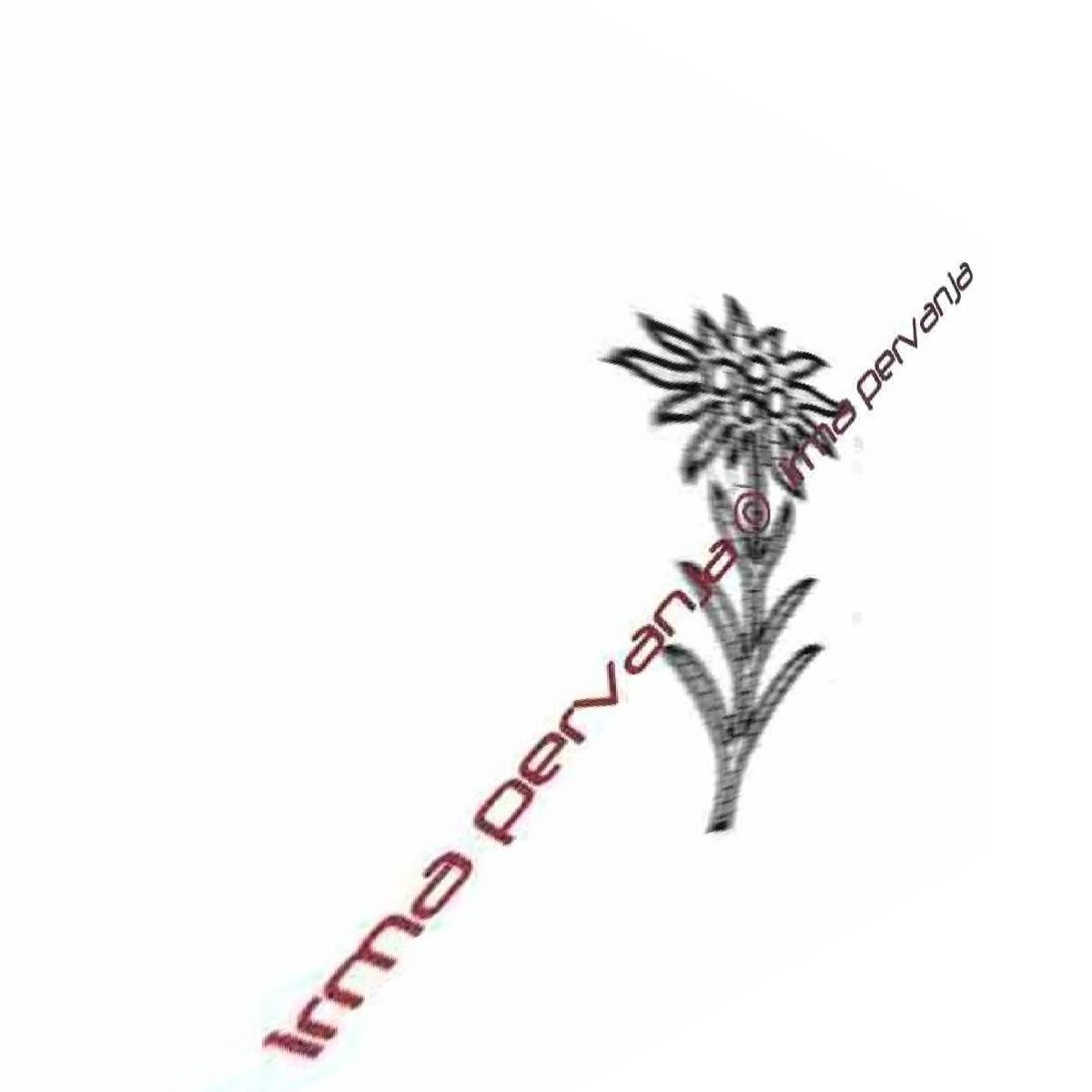 505802 - Flor de las nieves - 16 cm