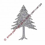 506301 - Pícea - 37 cm