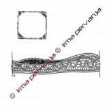 412704 - Inserción - 22 cm